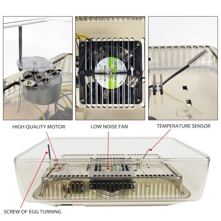 lQDPDhs3mXqvIyfNBdzNBdywoQ_M86_I-mUCK8R4vAAtAA_1500_1500